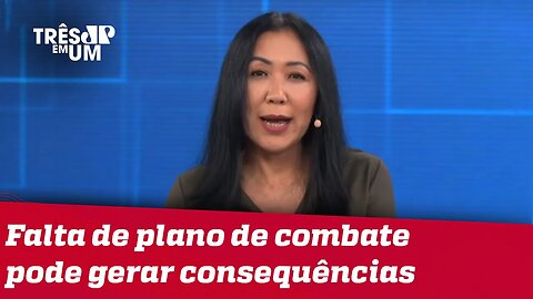 Thaís Oyama: Humilhar um general do Exército é humilhar o Exército