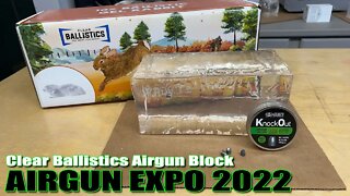 AE22 - Clear Ballistics Airgun Block VS. Umarex Origin .25, ATN LTV, JSB .25 Cal Knockout MKII Slugs