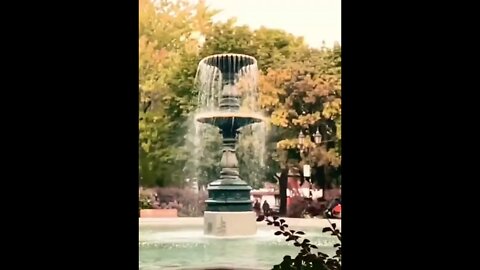 Majestic St. Louis Fountain #shorts