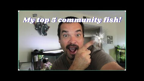 Good list of 5 community fish!