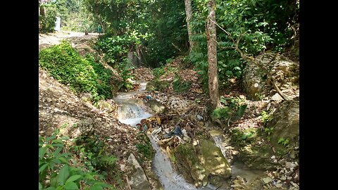 Haiti - Slow Sand Water Filtration System