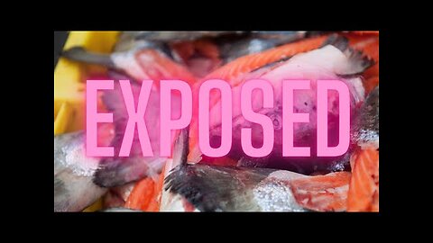 Farmed Norwegian Salmon World’s Most Toxic Food