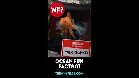 Hecklefish's Ocean Fun Facts Part 01 #shorts