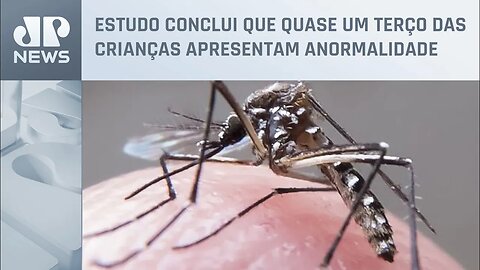 Bebês de mães contaminadas pelo Aedes aegypti podem ter sequelas