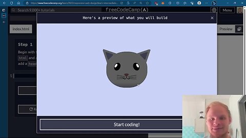 Learn Intermediate CSS by Building a Cat Painting | FreeCodeCamp