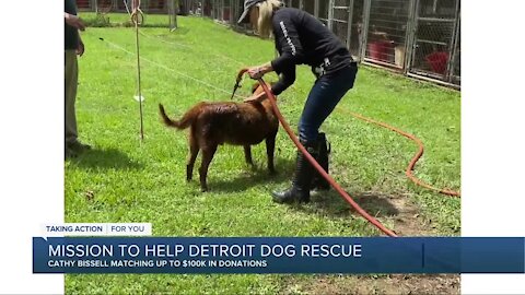 Woman behind Bissell Pet Foundation's mission to help no-kill shelter in Detroit