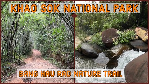 Khao Sok National Park - Bang Hau Rad Nature Trail - Thailand 2022