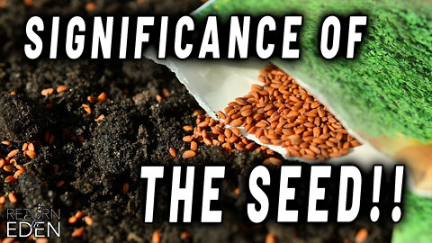 THE MYSTERIOUS SIGNIFICANCE OF THE "SEED"