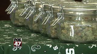 State proposing medical marijuana applicants have assets up to $500,000 to open up shop