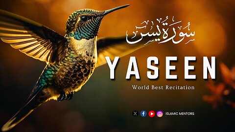 Surah Yaseen (سورة يــس) || Peaceful & Emotional Recitation | With Beautiful Clips | Islamic Mentors