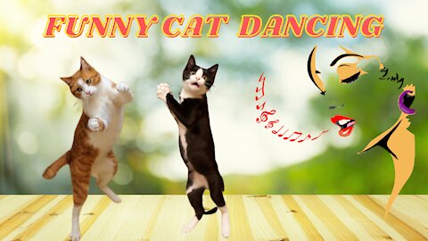 Funny Cat like Dancing