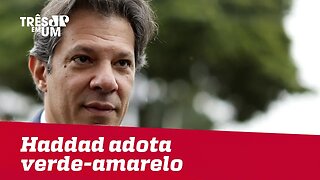 Campanha de Haddad adota o verde-amarelo