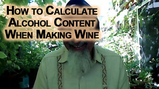 How to Calculate the Alcohol Content When Making Wine [ASMR Math Short, Percentage]