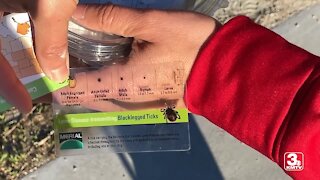 Tick population growing in Omaha as weather warms up