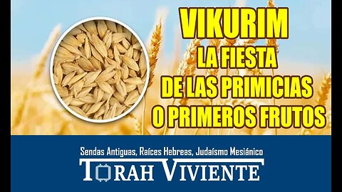 BIKURIM / LA FIESTA DE LAS PRIMICIAS O PRIMEROS FRUTOS