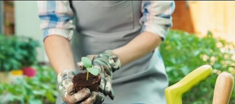 Gardening can improve your mental health