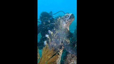 Godzilla like creature in ocean