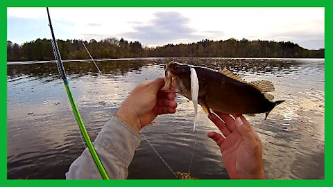 Wade Fishing for Largemouth Bass