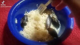 Ramen noodles with mussels