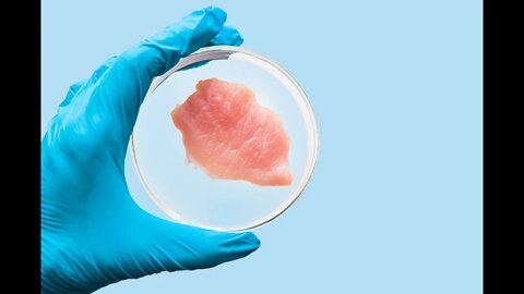 FDA approval on lab-grown meat.