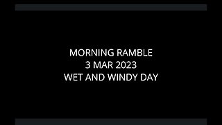 Morning Ramble - 20230303 - Wet and Windy Day