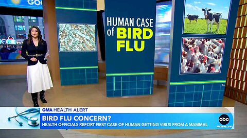 CDC closely monitoring cases of bird flu, taking animal to human case seriously: CDC director...