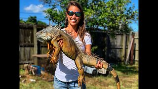 Iguana Catch & Cook / Alligator Invasion