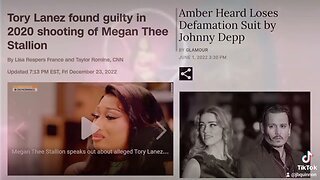 Are the MEG the STALLION AND AMBER HEARD CASE SIMILAR?