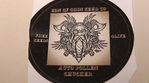 T Bird And Reds Mail call Son Of Odin Seed Co. Plz Like comment n sub. n share 🌲💨⛑️💯‼️