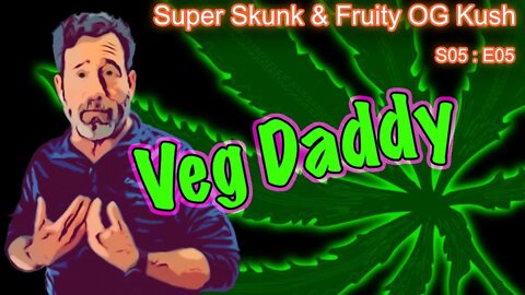 S05 E05 Super Skunk / Fruity OG Kush Organic Cannabis Grow - Veg