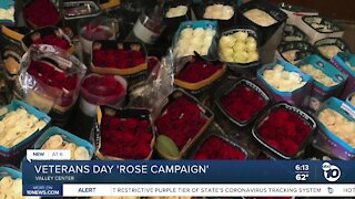 'Rose campaign' launched at North County cemetery