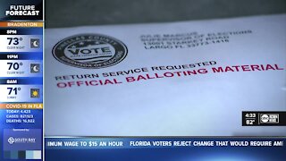 Voter turnout spikes across US, Fla. and Tampa Bay