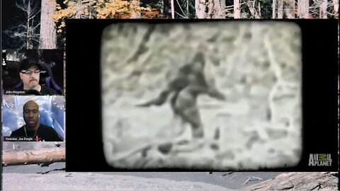 Exploring The Matrix Cryptic Creatures Series "Bigfoot Part 1"