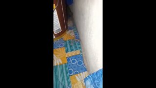 Lizards fighting inside home