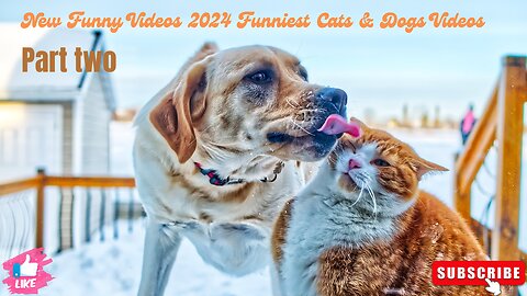 New Funny Videos 2024 😍 Funniest Cats & Dogs Videos (Part 2)