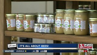We're Open Omaha: It's All About Bees!