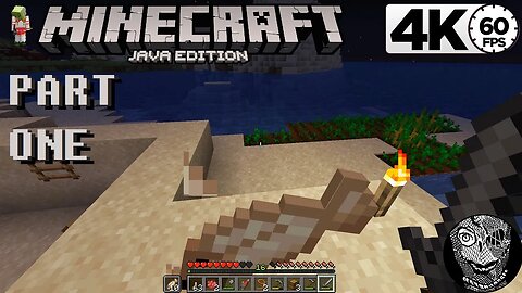 (PART 01) [Waaaay Better than Bedrock] Minecraft (Java Edition)