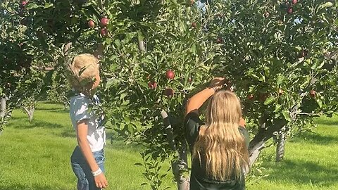 I Found DC Bureaucrats in my Apple Orchard