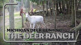 Michigan Trophy Buck Hunting / Michigan Albino Deer / Deer Ranch Upper Peninsula