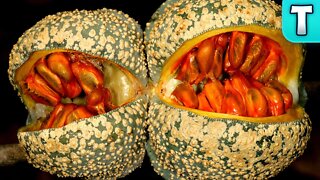 Top 10 Fruits You've Never Heard Of Part 20