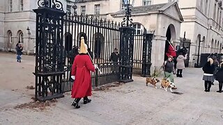 The kings guard scares 😱 a British bull dog #thekingsguard