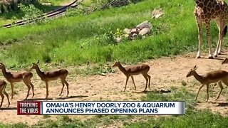 Zoo Reopening Plans