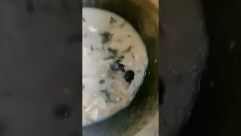 Two Mice fight inside soup