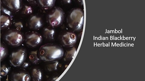 Jambol - Jamun - Herbal Medicine Benefits