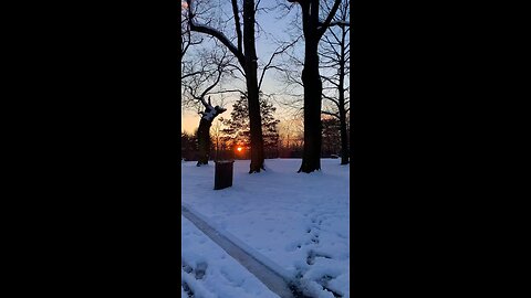 Walking in The Snow, New York City 🏙️🥀🥀🥀