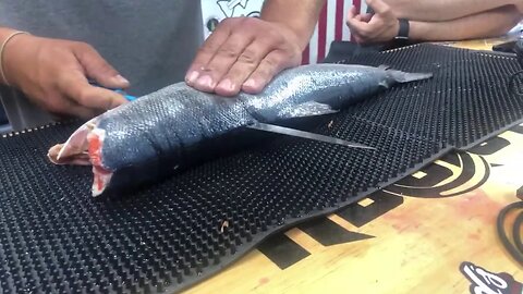 "How To" Filleting FISH Tips & Tricks! (Live Fishing Show)