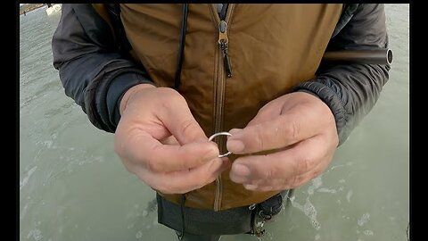 Equinox 600 beach detecting - How many rings did we find?