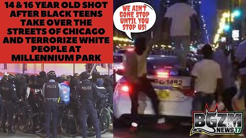 14 & 16 Year Old Shot After Black Teens Take Over The Streets of Chicago and Terrorize White People