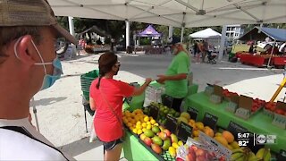 Local farmer's market enters its second week, giving small businesses a boost in sales