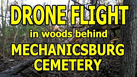 Drone Flight In Woods Behind Mechanicsburg Cemetery